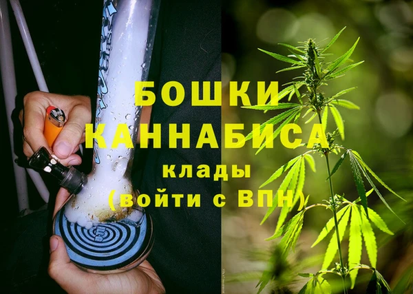Альфа ПВП Алзамай