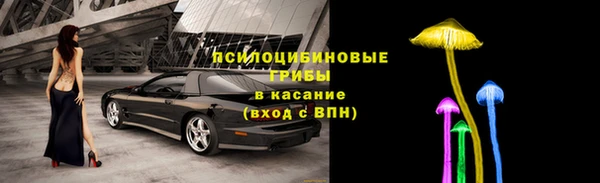 Альфа ПВП Алзамай