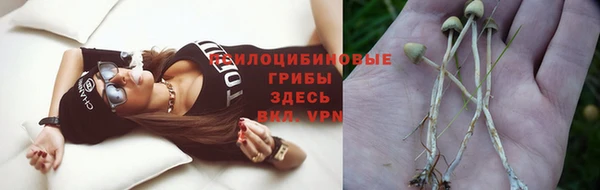 амф Алексеевка