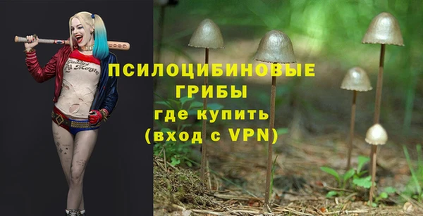 амф Алексеевка