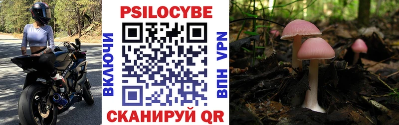 наркошоп  Курганинск  Галлюциногенные грибы MAGIC MUSHROOMS 